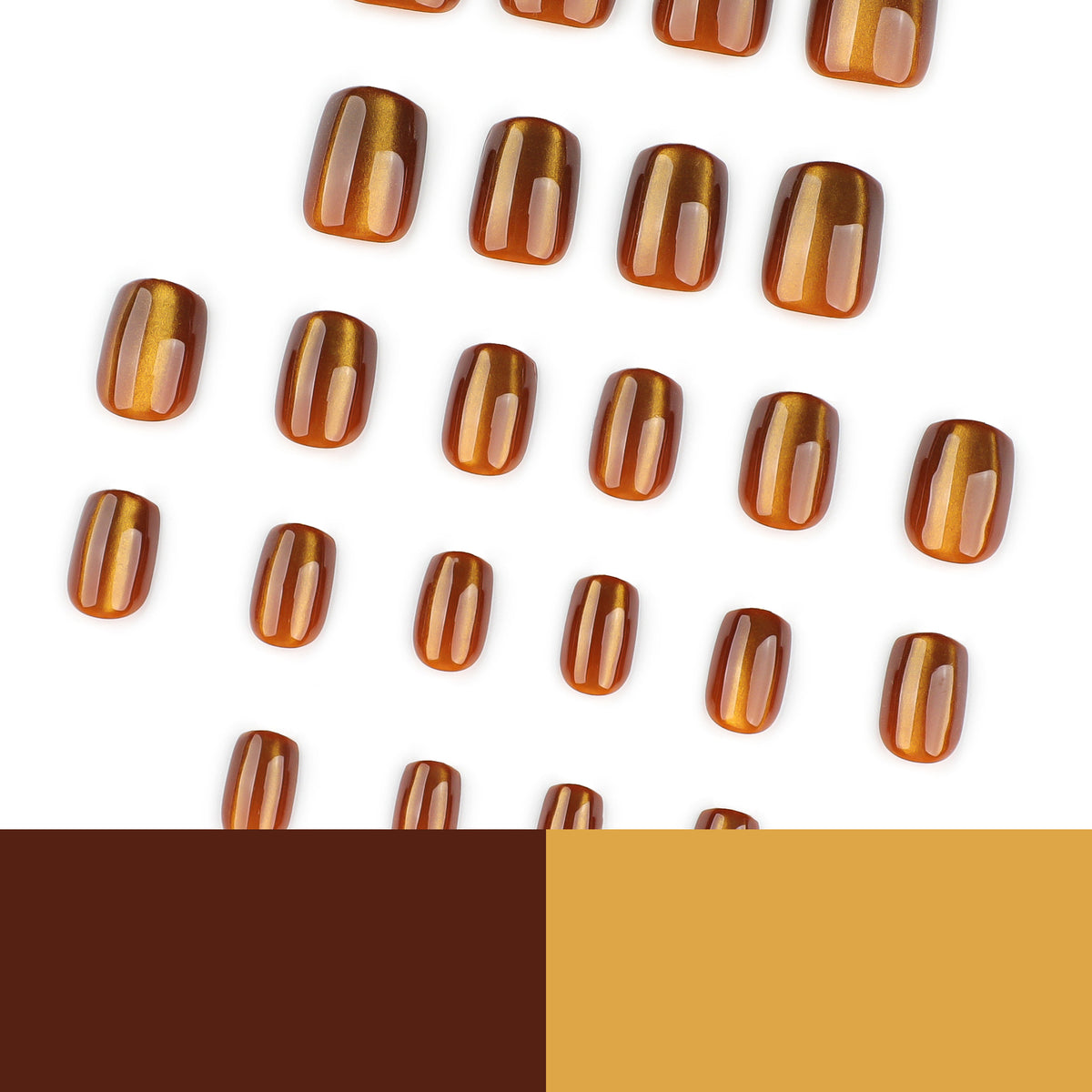 Chocolate cat's eye