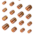 Chocolate cat's eye