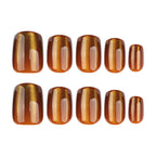 Chocolate cat's eye