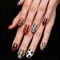 Zoo nails